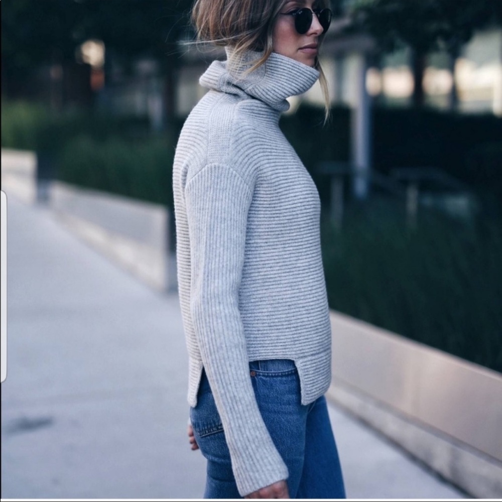 Aritzia Babaton Mika Sweater